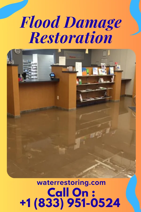 Flood Damage Restoration in Wickes, AR